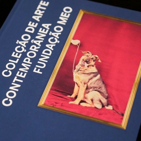 Catalogo Arte contemporanea thumbnail